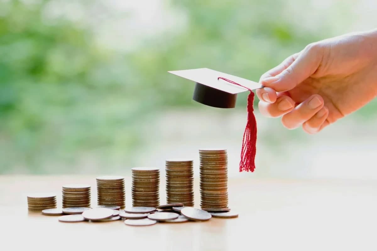 Maktabgacha va maktab ta’limi vazirligi budjet pullarini qanday sarflamoqda? Maktabgacha va maktab ta’limi vazirligi budjet pullarini qanday sarflamoqda?