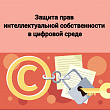 Защита прав интеллектуальной собственности в цифровой среде 
